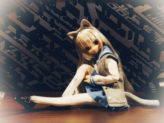 Sarah's a la Mode meow x meow a la mode 俄罗斯蓝猫 / 艾丽莎