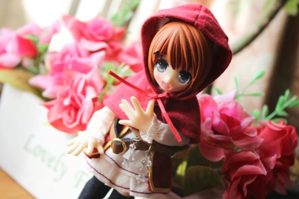 耳朵花园博物志 米亚姆