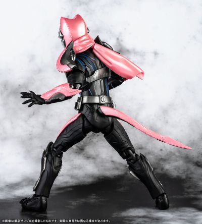 S.H.Figuarts  假面骑士维斯 暴龙基因