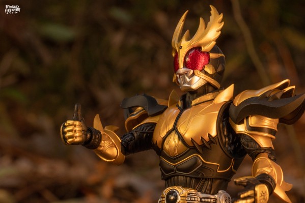 S.H.Figuarts(真骨雕制法)  假面骑士帝骑系列  假面骑士空我 升华究极形态