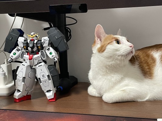 MG 1/100 德天使高达