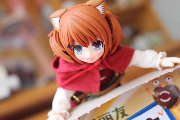 耳朵花园博物志 米亚姆