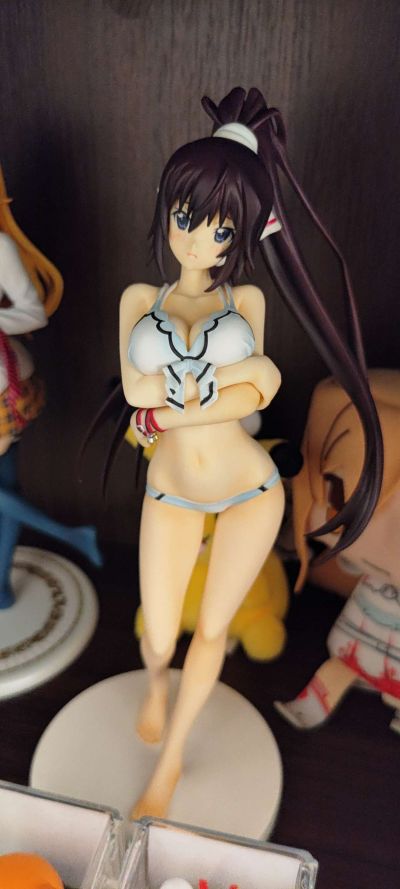 IS〈无限斯特拉托斯〉2 筱之之帚 泳装