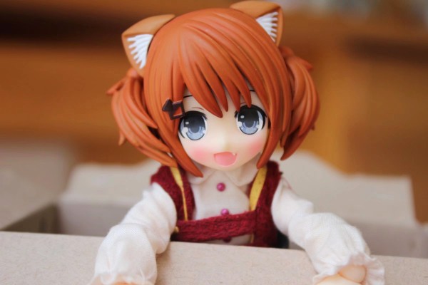 耳朵花园博物志 米亚姆