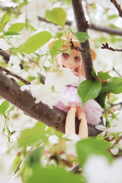 Picconeemo ~ Youseitachi no Kyuujitsu ~ 