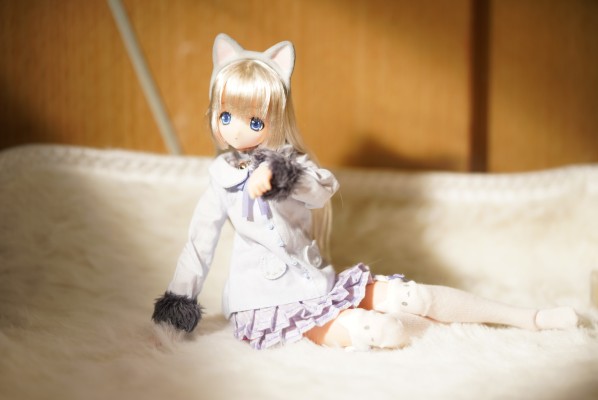 Sarah's a la Mode meow x meow a la mode 俄罗斯蓝猫 / 艾丽莎