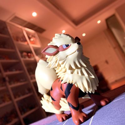 宝可梦比例世界 关都地区 青绿与风速狗