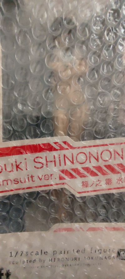 IS〈无限斯特拉托斯〉2 筱之之帚 泳装