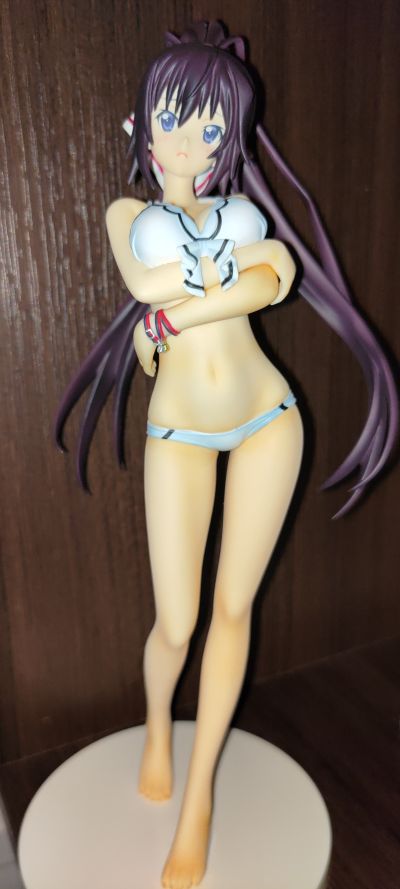 IS〈无限斯特拉托斯〉2 筱之之帚 泳装