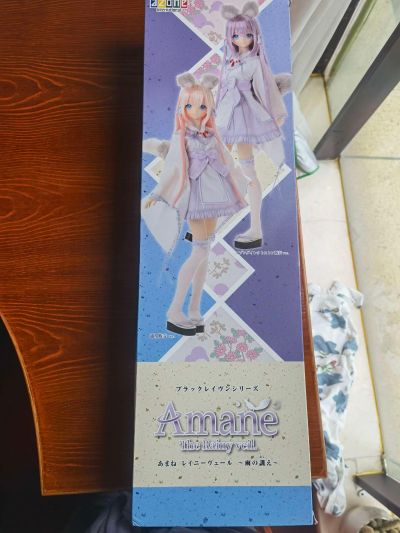 黑雷文 天音 / The Rainy veil. ～雨水的教诲～