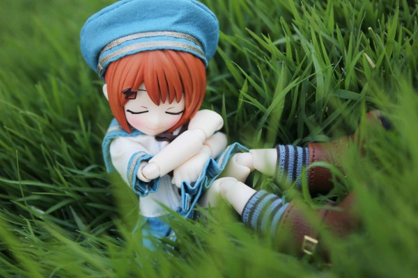 耳朵花园博物志 米亚姆