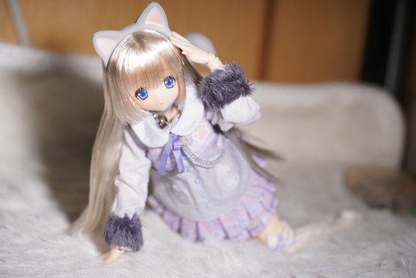 Sarah's a la Mode meow x meow a la mode 俄罗斯蓝猫 / 艾丽莎