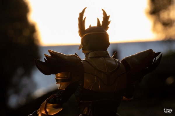 S.H.Figuarts(真骨雕制法)  假面骑士帝骑系列  假面骑士空我 升华究极形态