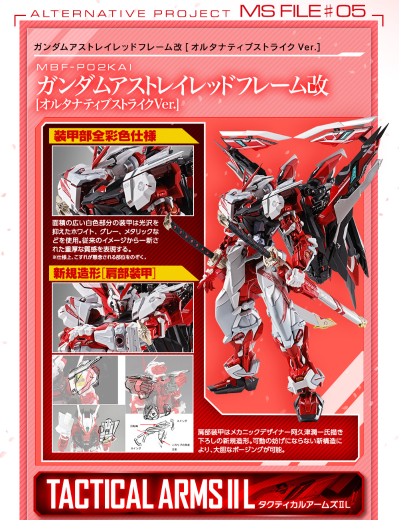 METAL BUILD 机动战士高达SEED ASTRAY系列 异端高达红色机改 (新生强袭版)