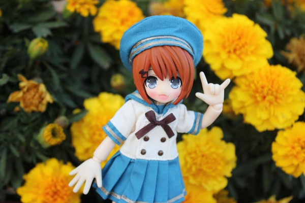 耳朵花园博物志 米亚姆