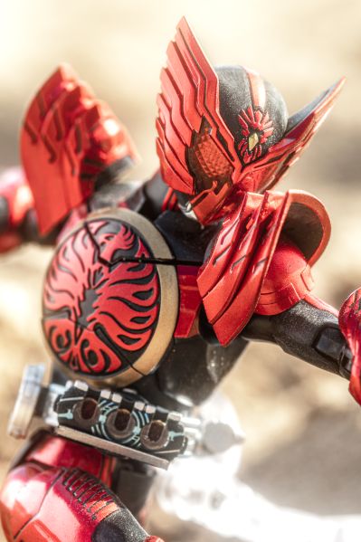 S.H.Figuarts(真骨雕制法)  假面骑士欧兹 假面骑士欧兹 鹰雀鹫联组