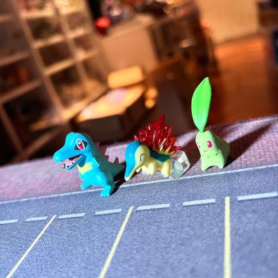 宝可梦比例世界 城都地区套装