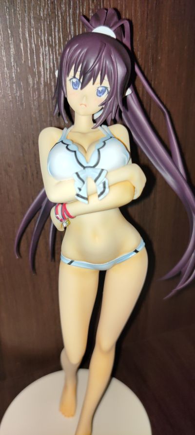 IS〈无限斯特拉托斯〉2 筱之之帚 泳装