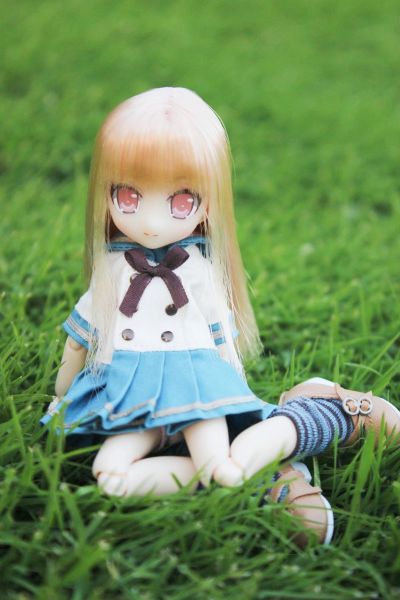 Picconeemo ~ Youseitachi no Kyuujitsu ~ 