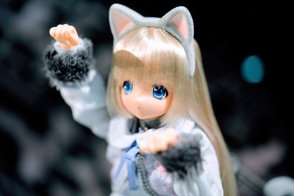 Sarah's a la Mode meow x meow a la mode 俄罗斯蓝猫 / 艾丽莎