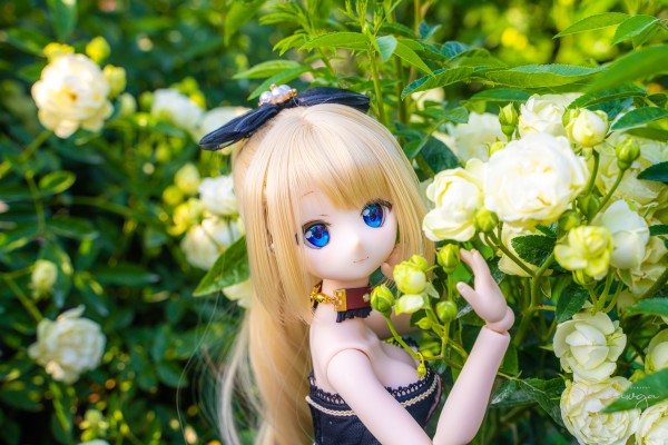 Dollfie Dream Sister DDS  偶像大师灰姑娘女孩 神崎兰子 第二版