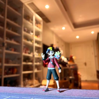 宝可梦比例世界 城都地区套装