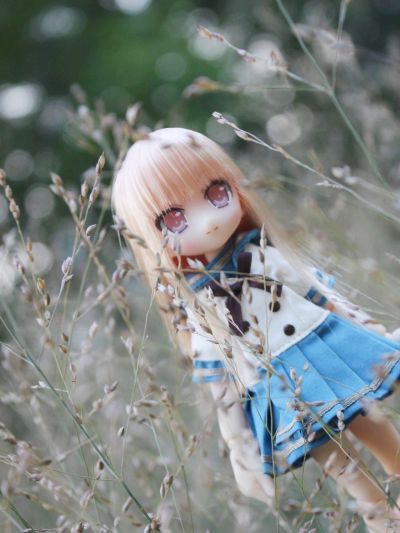 Picconeemo ~ Youseitachi no Kyuujitsu ~ 