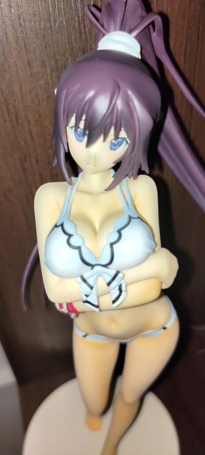 IS〈无限斯特拉托斯〉2 筱之之帚 泳装