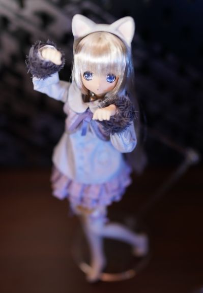 Sarah's a la Mode meow x meow a la mode 俄罗斯蓝猫 / 艾丽莎