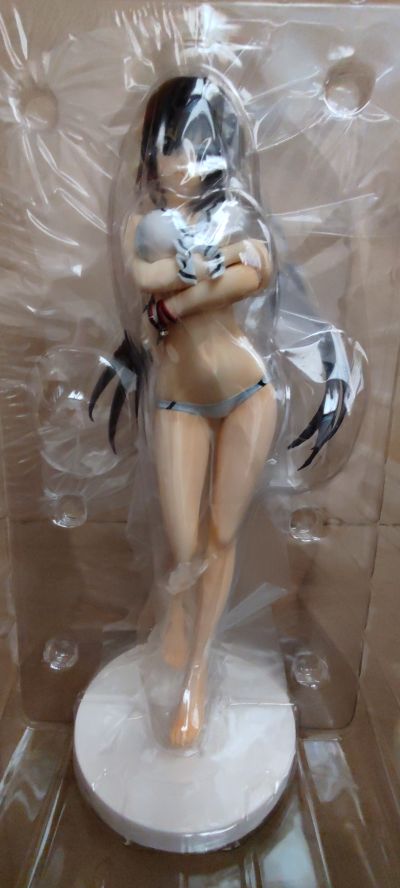 IS〈无限斯特拉托斯〉2 筱之之帚 泳装