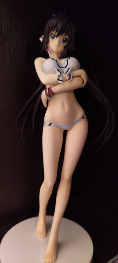 IS〈无限斯特拉托斯〉2 筱之之帚 泳装