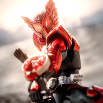 S.H.Figuarts(真骨雕制法)  假面骑士欧兹 假面骑士欧兹 鹰雀鹫联组