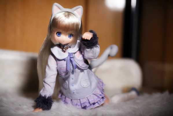 Sarah's a la Mode meow x meow a la mode 俄罗斯蓝猫 / 艾丽莎