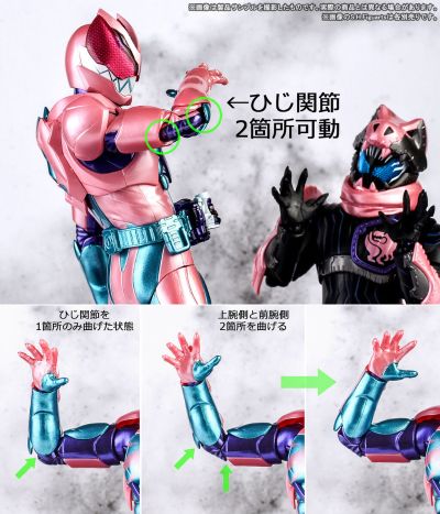 S.H.Figuarts  假面骑士利维 暴龙基因