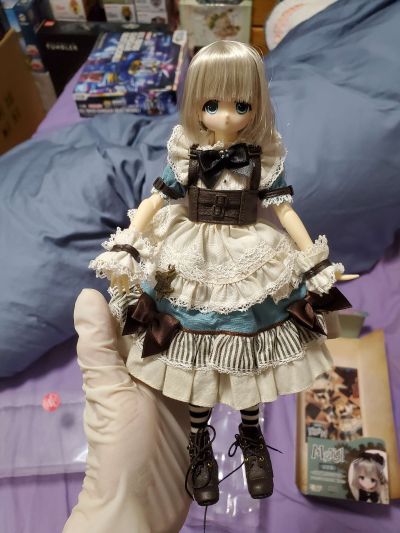 Alvastaria 梅丽尔 ～书，镜子和小爱丽丝～ (Azone商城限定贩售)