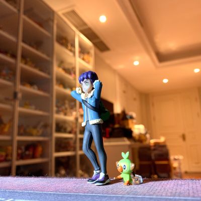 宝可梦比例世界 伽勒尔地区 赫普+毛毛角羊