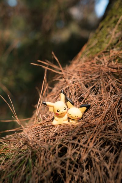 精灵宝可梦 集集乐！叠叠乐！宝可梦森林3 ～迷途的前方～