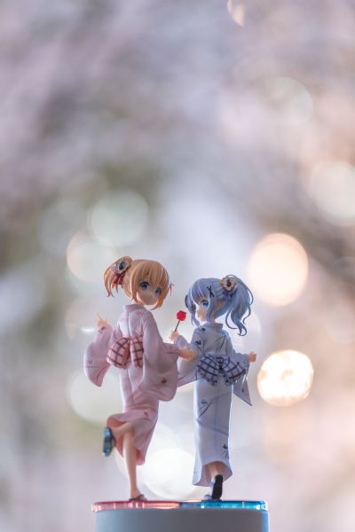 请问您今天要来点兔子吗？BLOOM 保登心爱 夏天集会