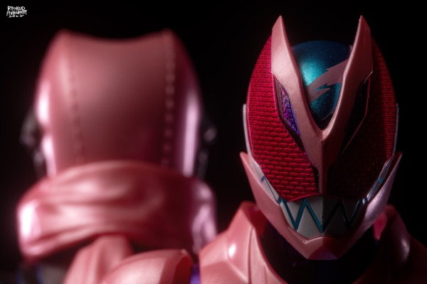 S.H.Figuarts  假面骑士维斯 暴龙基因