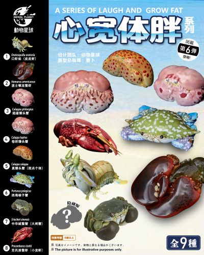 心宽体胖 甲壳类动物