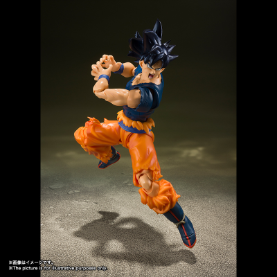 S.H.Figuarts 龙珠超 孙悟空 自在极意功 “兆”