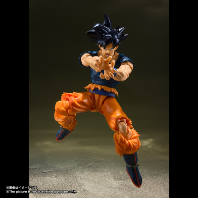 S.H.Figuarts 龙珠超 孙悟空 自在极意功 “兆”