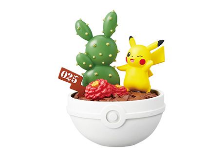 精灵宝可梦 宝可梦 Pocket Botanical