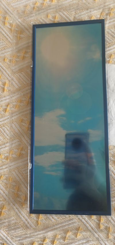 EVA 明日香 ミラーパネル