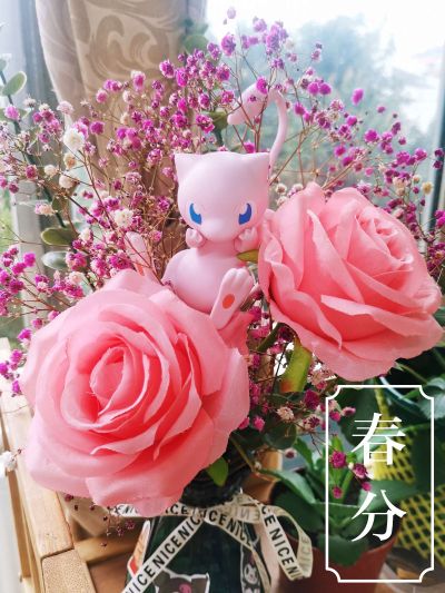 宝可梦组装模型 快快拼系列！！02  梦幻