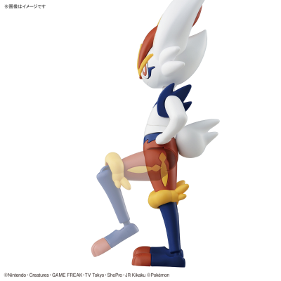 宝可梦拼装模型系列 50 特选系列 闪焰王牌 ​​​​