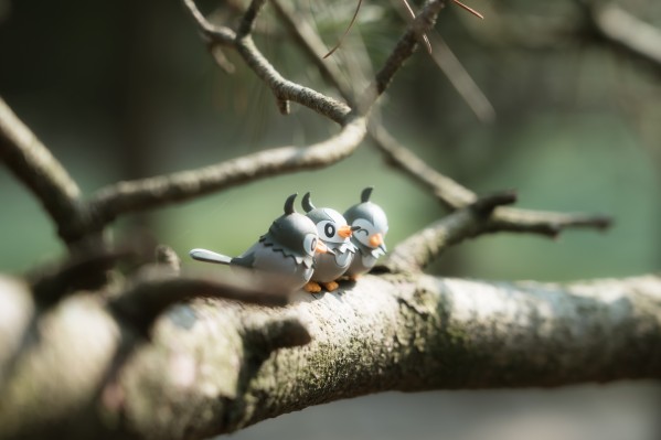 精灵宝可梦 集集乐！叠叠乐！宝可梦森林3 ～迷途的前方～