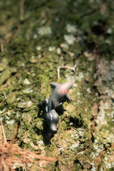 精灵宝可梦 一起排排 好朋友树