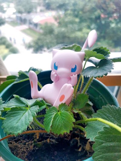 宝可梦组装模型 快快拼系列！！02  梦幻