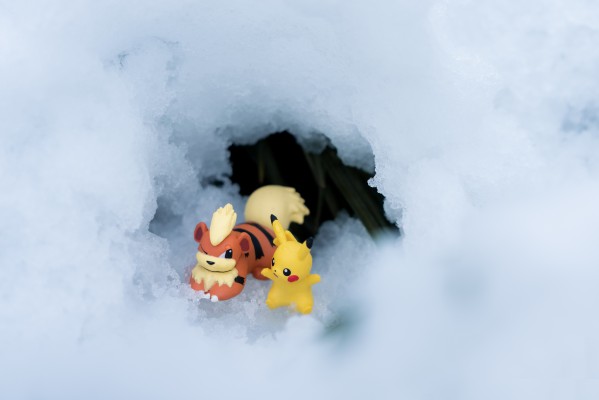 精灵宝可梦 一起排排 好朋友树